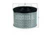 BMW 13720043743 Air Filter